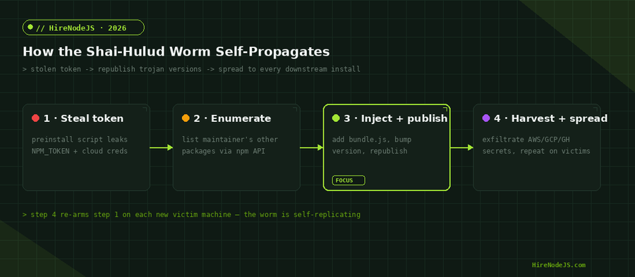 Diagram showing how an npm supply chain attack and the Shai-Hulud worm self-propagate across maintainers